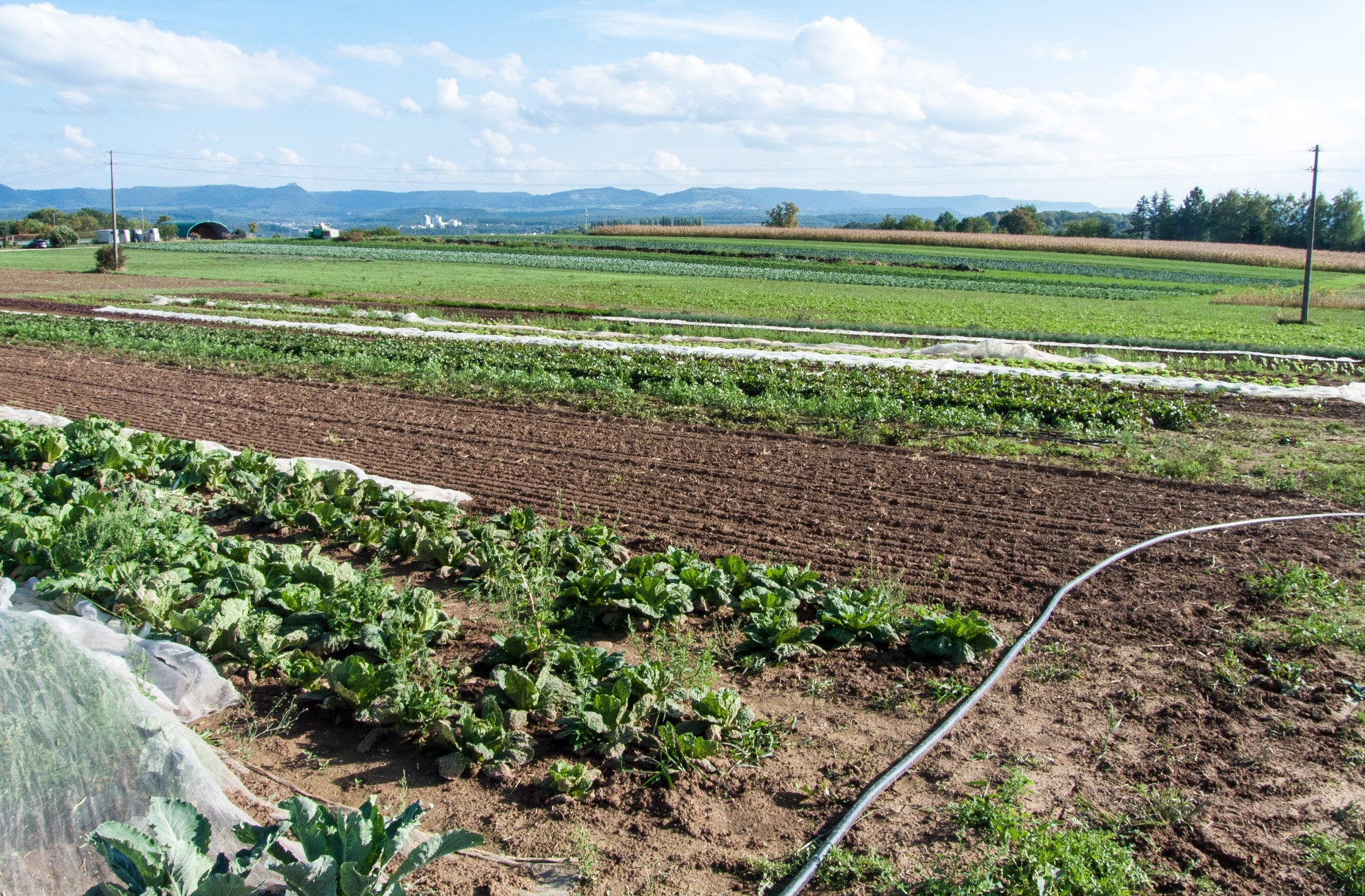 Solidarische Landwirtschaft, Solawi - EcovillageFinder